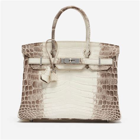 hermès birkin himalaya